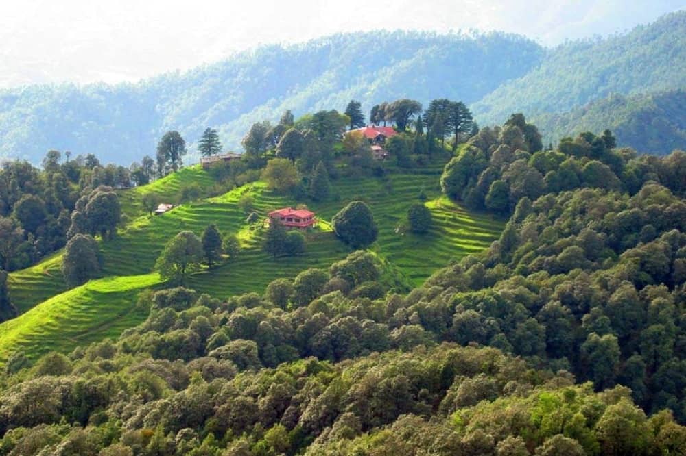 Binsar Himalayan View